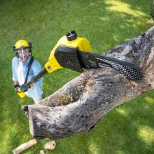 Best Lawn Watering Services  in Willmar, MN