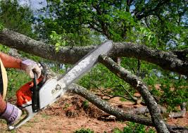 Landscape Design and Installation in Willmar, MN